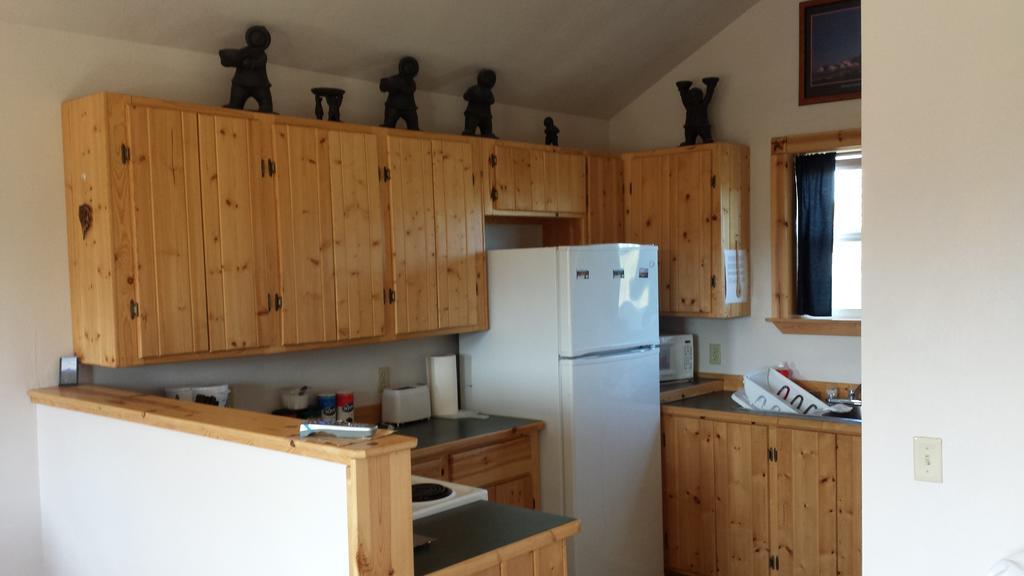 Denali'S Alaskan Spruce Cabins هيلي المظهر الخارجي الصورة