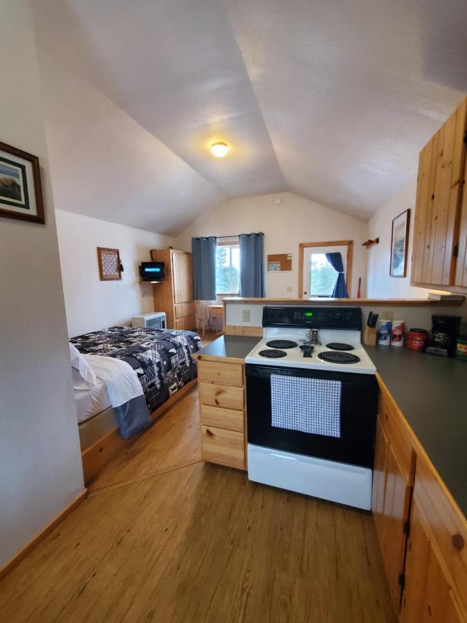 Denali'S Alaskan Spruce Cabins هيلي المظهر الخارجي الصورة