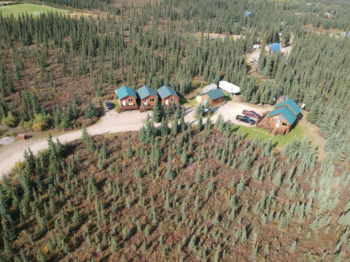 Denali'S Alaskan Spruce Cabins هيلي المظهر الخارجي الصورة