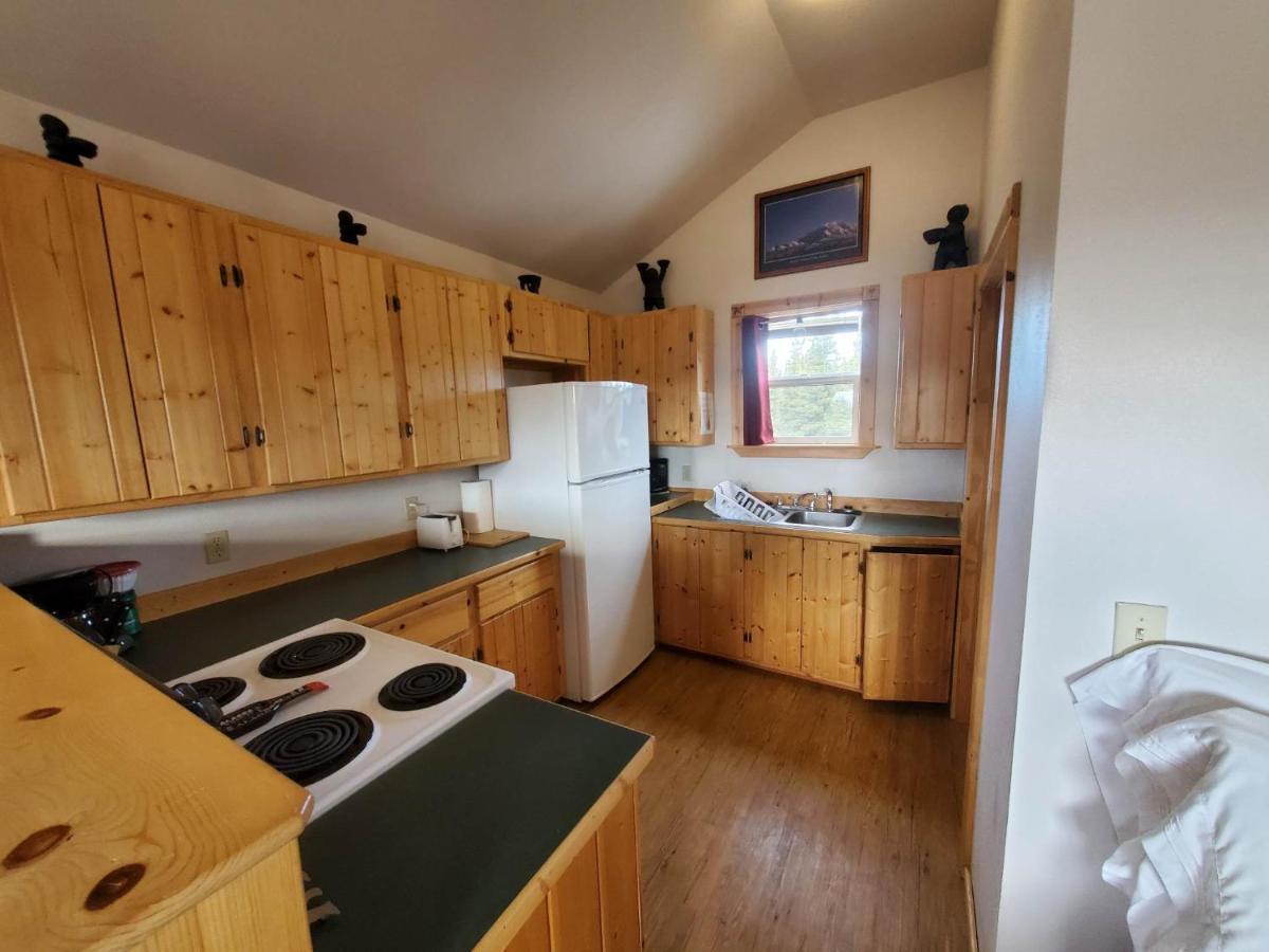 Denali'S Alaskan Spruce Cabins هيلي المظهر الخارجي الصورة