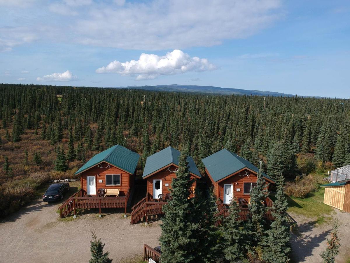Denali'S Alaskan Spruce Cabins هيلي المظهر الخارجي الصورة