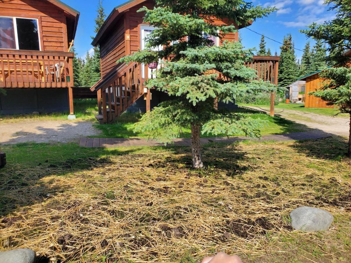 Denali'S Alaskan Spruce Cabins هيلي المظهر الخارجي الصورة