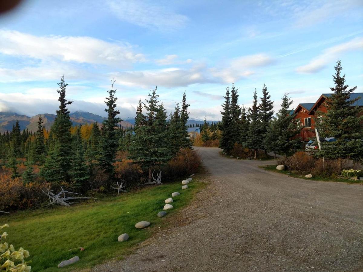 Denali'S Alaskan Spruce Cabins هيلي المظهر الخارجي الصورة