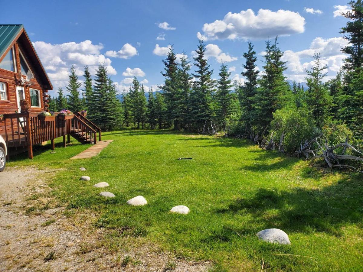 Denali'S Alaskan Spruce Cabins هيلي المظهر الخارجي الصورة