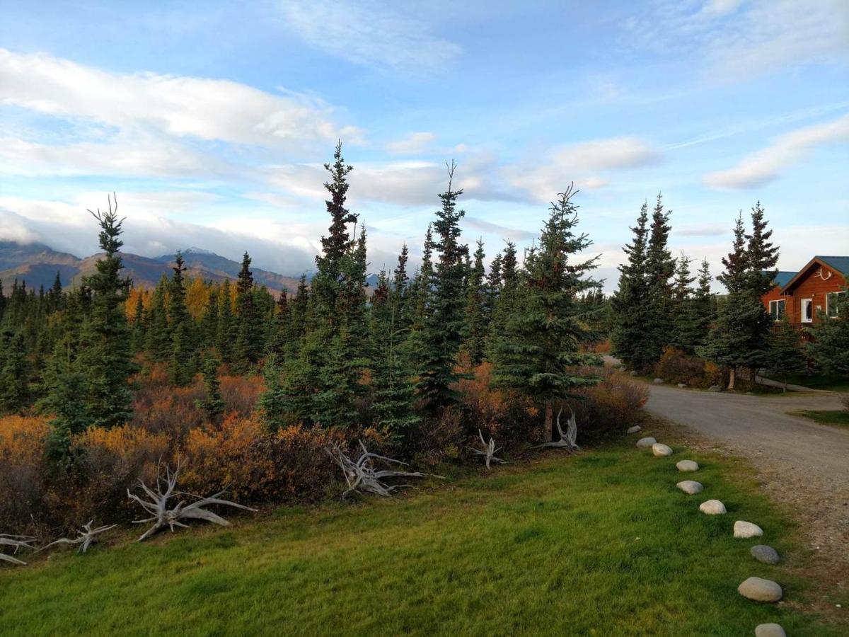 Denali'S Alaskan Spruce Cabins هيلي المظهر الخارجي الصورة