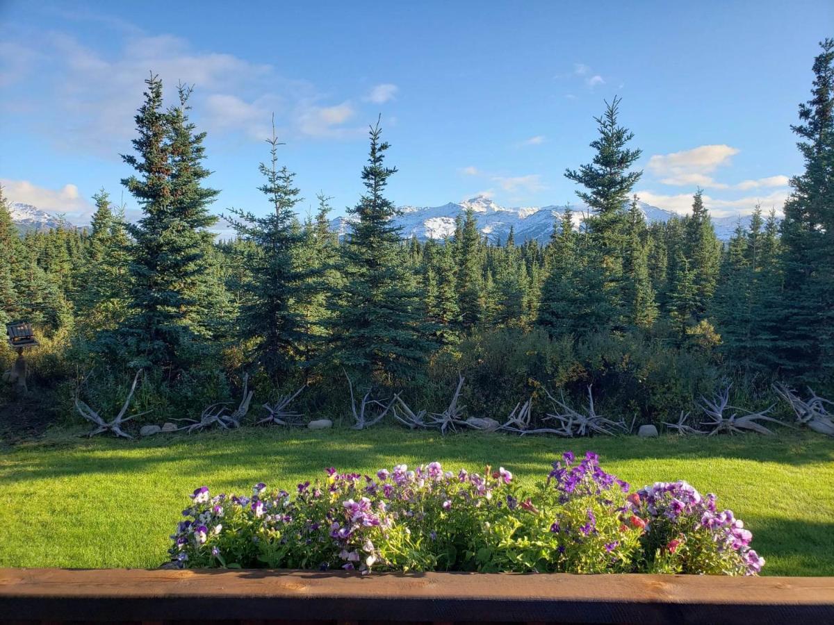 Denali'S Alaskan Spruce Cabins هيلي المظهر الخارجي الصورة