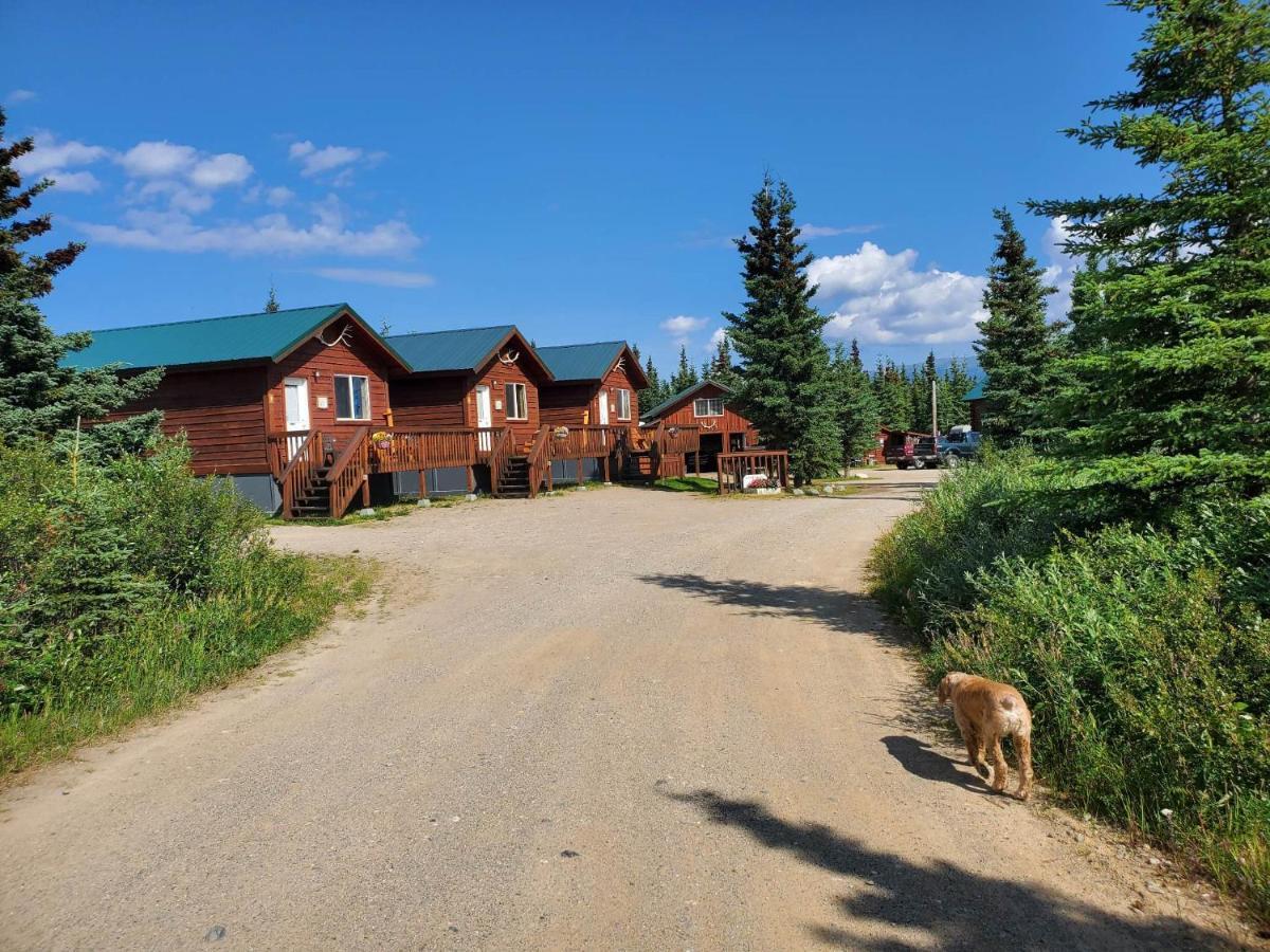 Denali'S Alaskan Spruce Cabins هيلي المظهر الخارجي الصورة