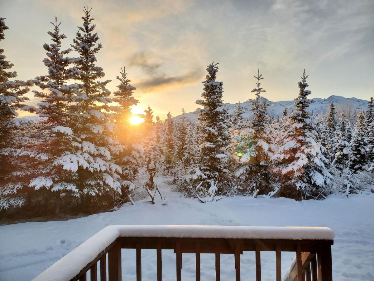 Denali'S Alaskan Spruce Cabins هيلي المظهر الخارجي الصورة