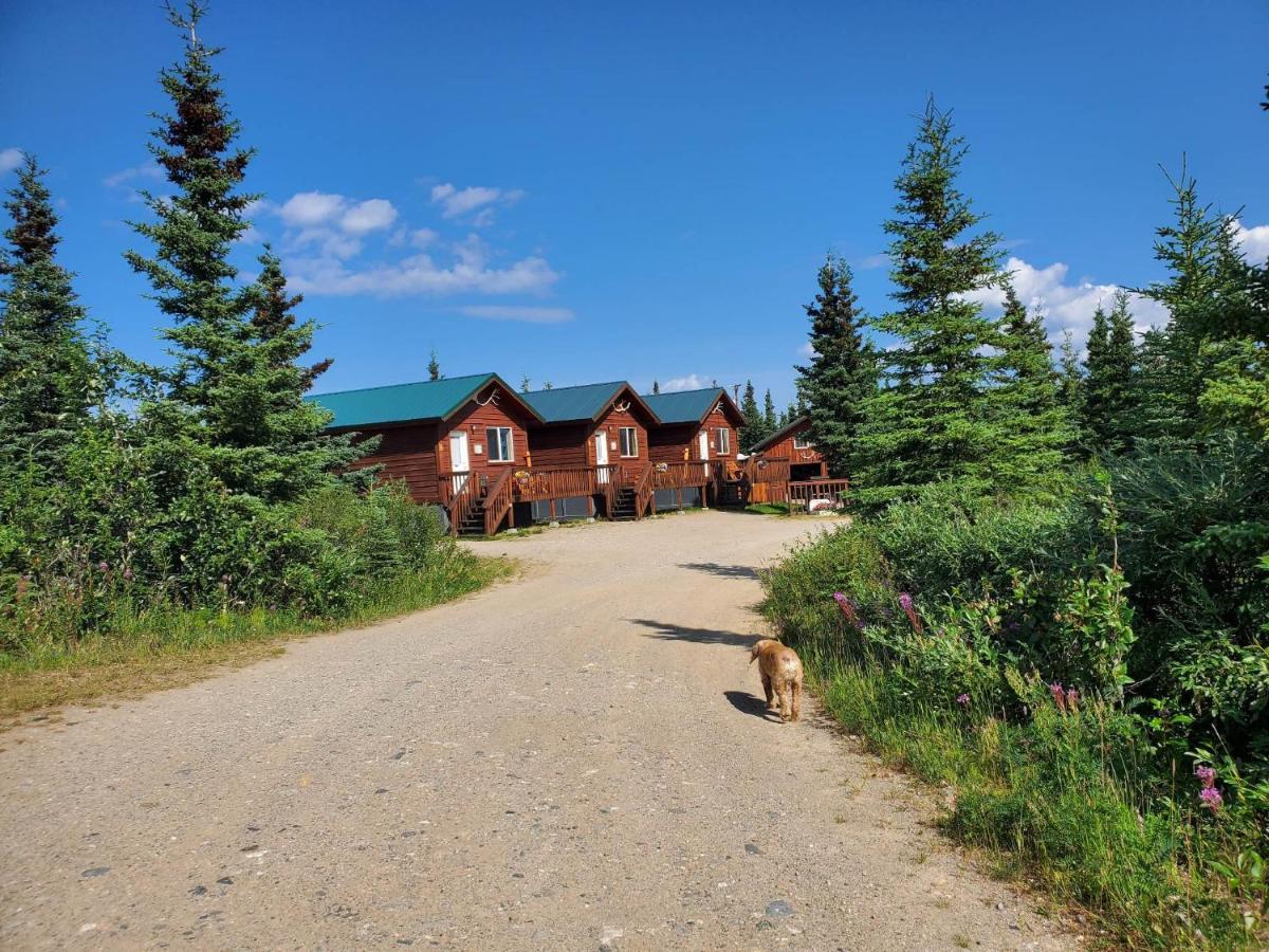 Denali'S Alaskan Spruce Cabins هيلي المظهر الخارجي الصورة