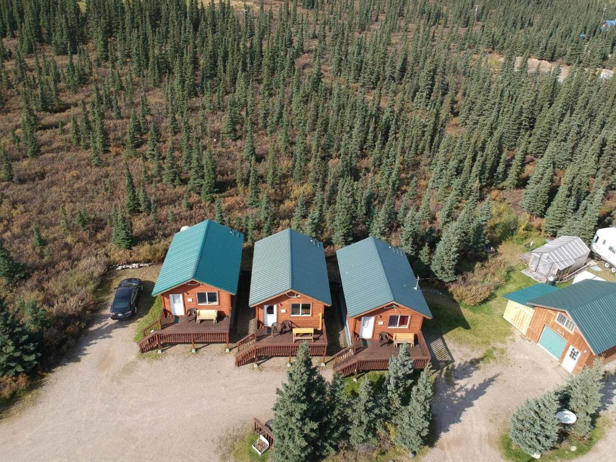 Denali'S Alaskan Spruce Cabins هيلي المظهر الخارجي الصورة