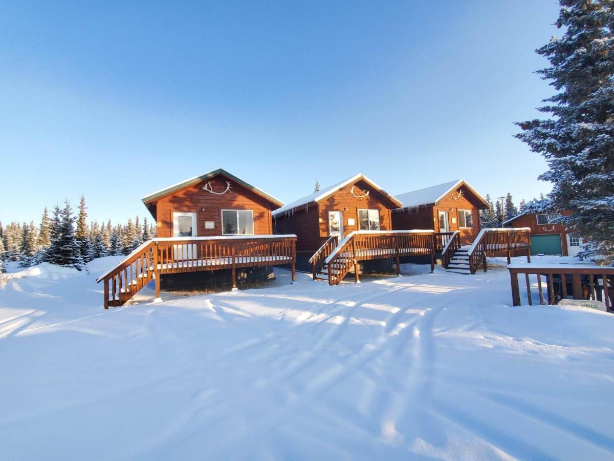 Denali'S Alaskan Spruce Cabins هيلي المظهر الخارجي الصورة