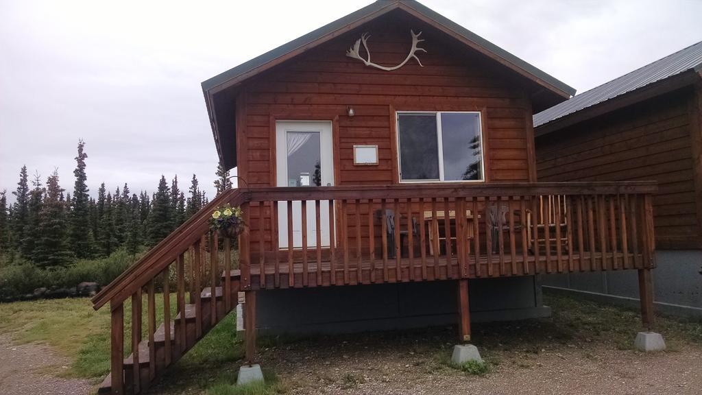 Denali'S Alaskan Spruce Cabins هيلي المظهر الخارجي الصورة