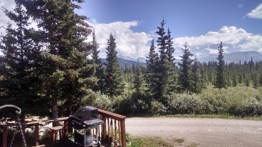 Denali'S Alaskan Spruce Cabins هيلي المظهر الخارجي الصورة