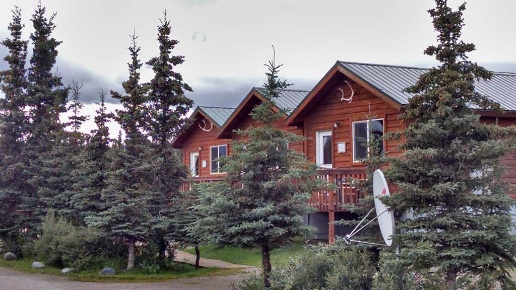 Denali'S Alaskan Spruce Cabins هيلي المظهر الخارجي الصورة