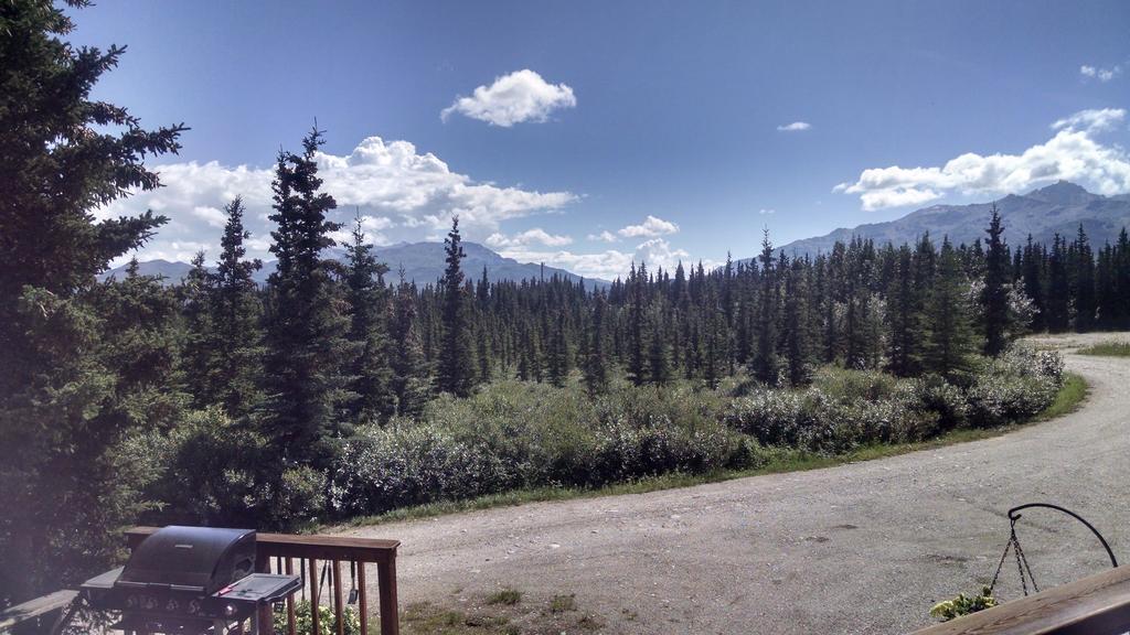 Denali'S Alaskan Spruce Cabins هيلي المظهر الخارجي الصورة
