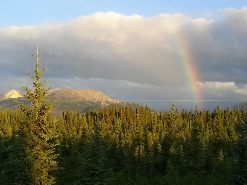 Denali'S Alaskan Spruce Cabins هيلي المظهر الخارجي الصورة