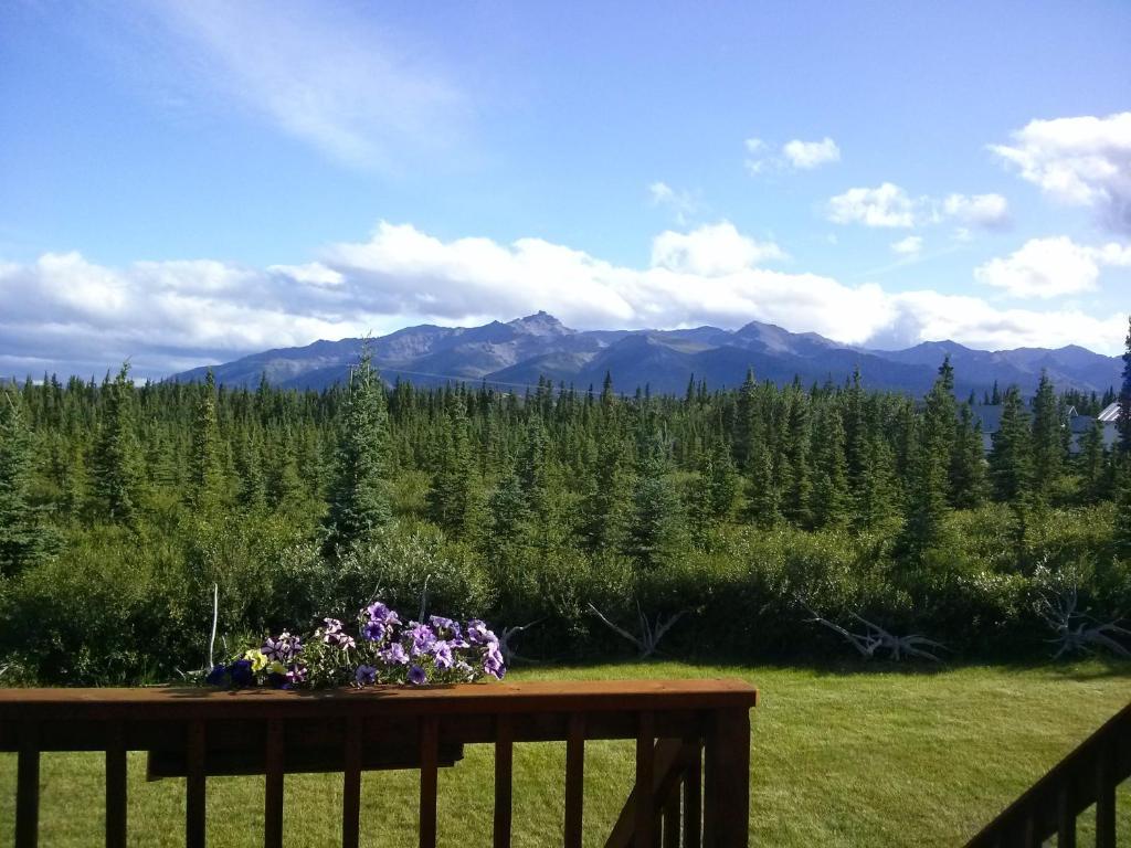 Denali'S Alaskan Spruce Cabins هيلي المظهر الخارجي الصورة
