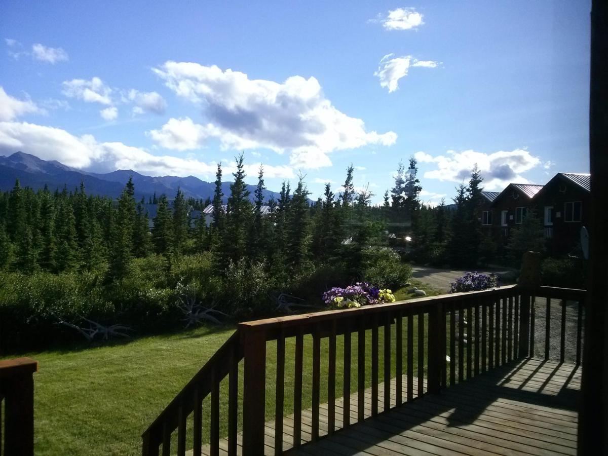 Denali'S Alaskan Spruce Cabins هيلي المظهر الخارجي الصورة